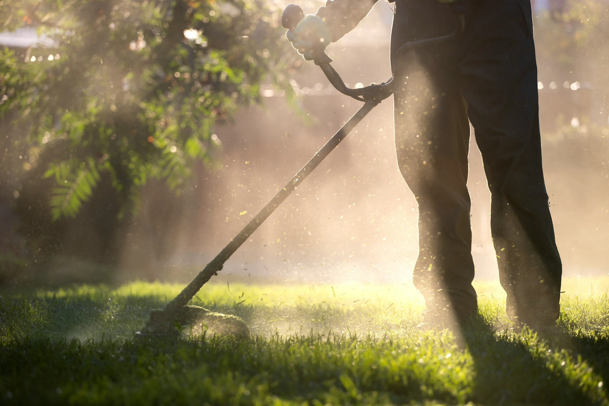 Lawn mover on green grass. Machine for cutting lawns.