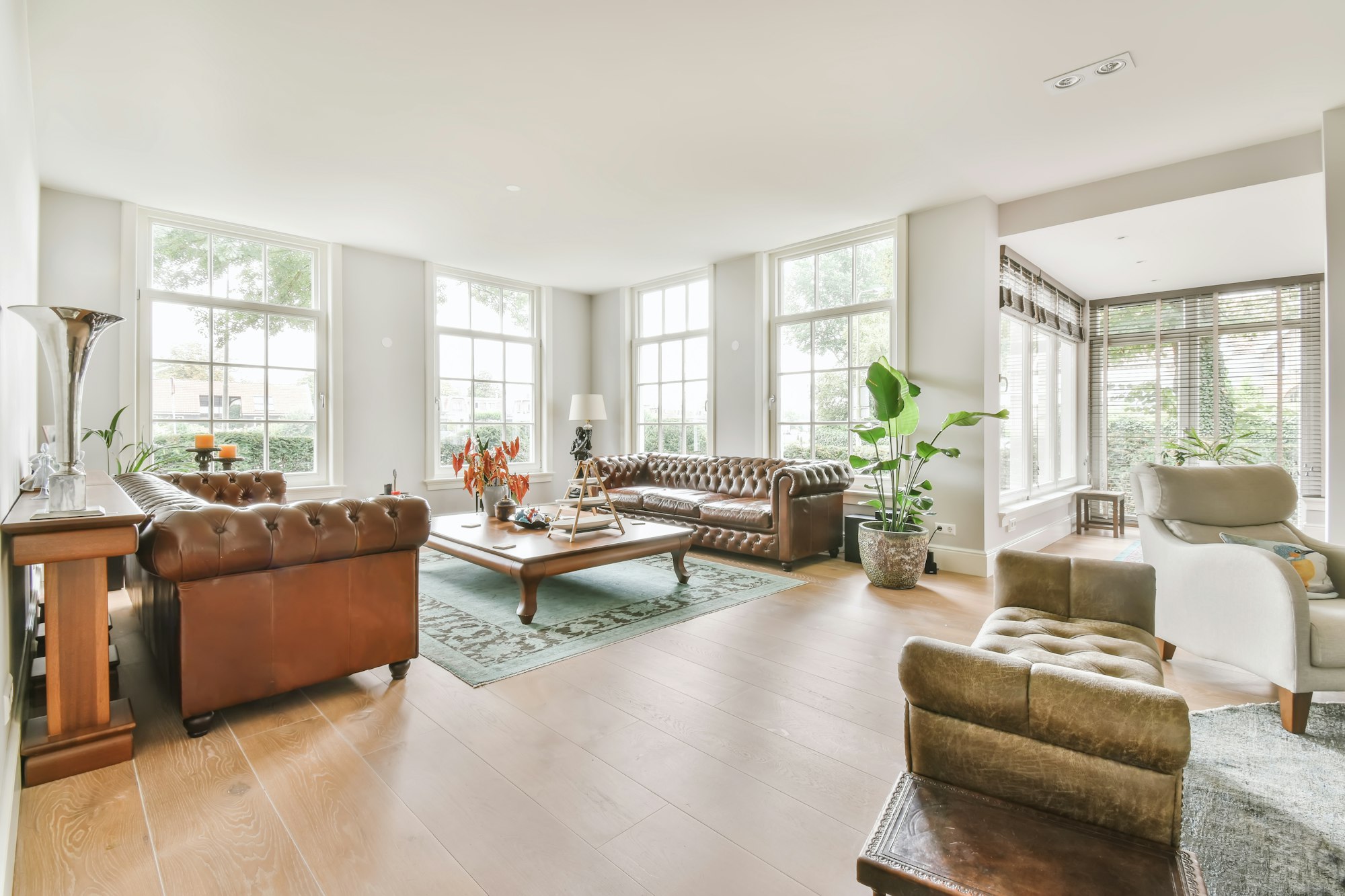 Luxurious living room