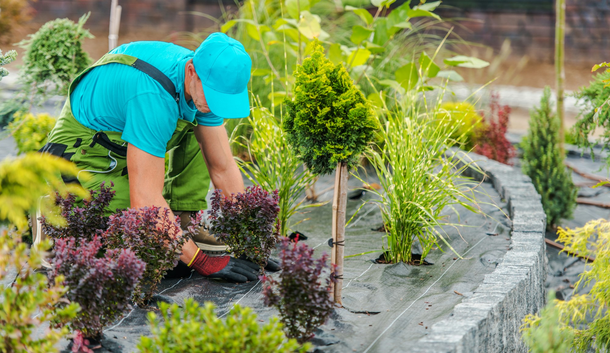 Professional Garden Landscape Maintenance Services